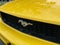 2005 Ford Mustang Base
