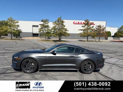 2019 Ford Mustang EcoBoost