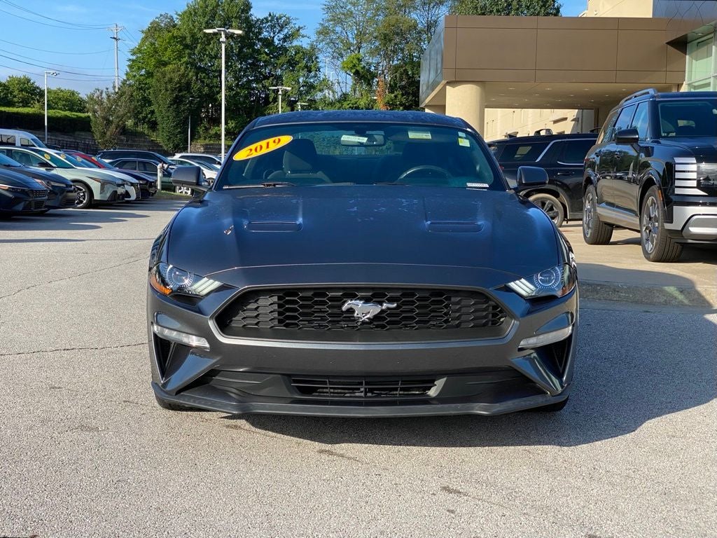 2019 Ford Mustang EcoBoost