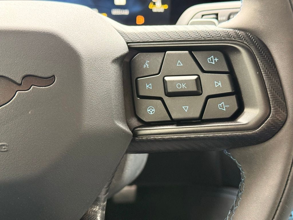 2024 Ford Mustang Dark Horse LOW MILES