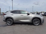 2024 Lexus NX 250 Premium