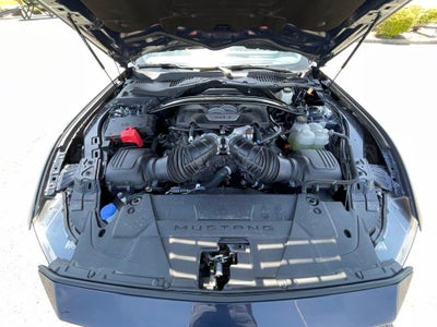 2024 Ford Mustang Dark Horse