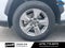2024 Toyota RAV4 XLE - CLEAN CARFAX / ONE OWNER