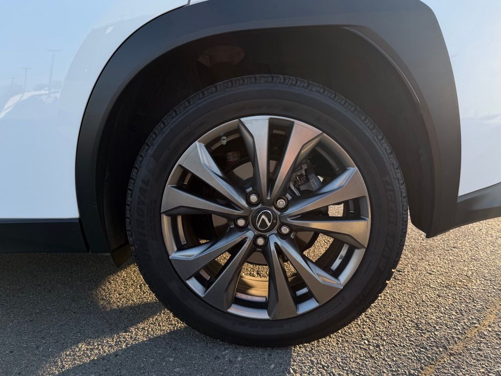 2019 Lexus UX 200 F SPORT