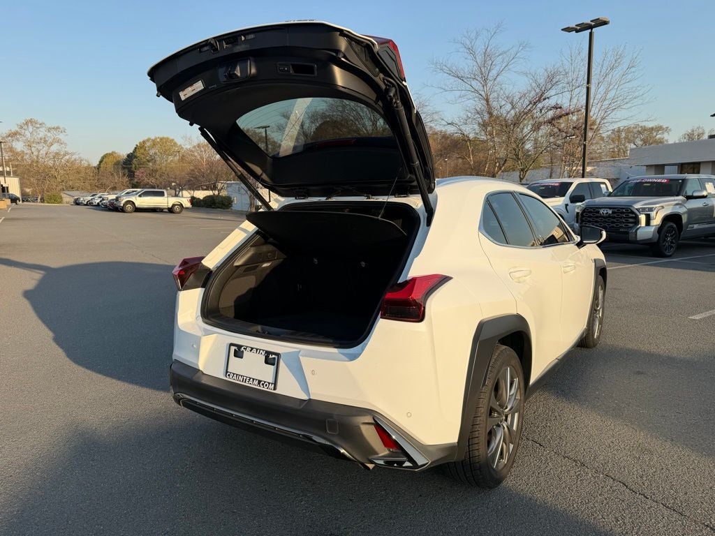2019 Lexus UX 200 F SPORT
