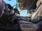 2022 Chevrolet Silverado 2500HD LTZ Z71 Off-Road / Safety / 1-Owner